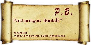 Pattantyus Benkő névjegykártya